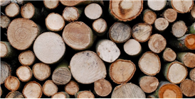 انواع چوب‌های مناسب برای ساخت درب چوبی