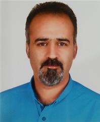 نقش زیبای ایران