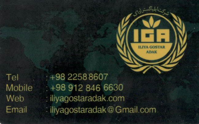 ایلیا گستر آداک