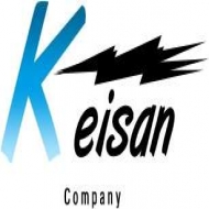 شرکت پایا سابین کیسان