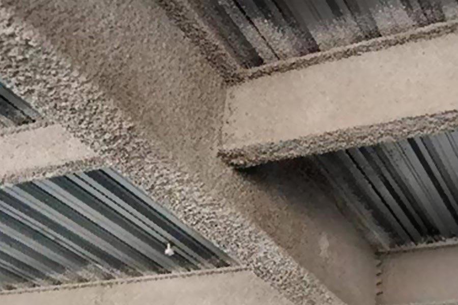 زرین پوشش ویرا  