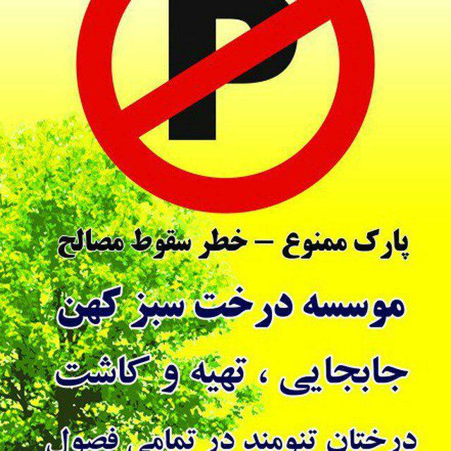 موسسه درخت سبز کهن
