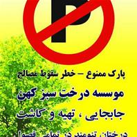 موسسه درخت سبز کهن