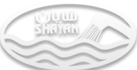 بازرگانی مانی