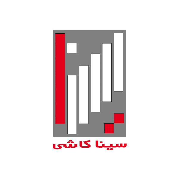 سینا کاشی