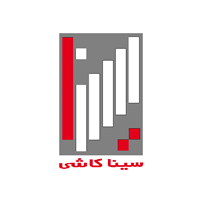 سینا کاشی