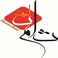ثامن امین