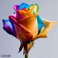 سازه هوشمند آرتیمان