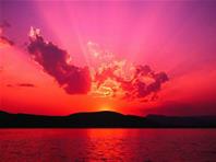 فروش عمده محصولات