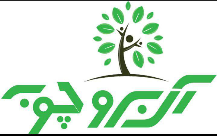 آلبروچوب